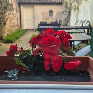 19 Borgo Cavour Bed & Breakfast